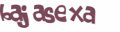 Captcha 챌린지