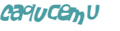 Captcha 챌린지