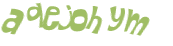 CAPTCHA 挑戰