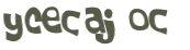 Desafio Captcha