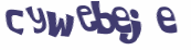 CAPTCHA 挑戰