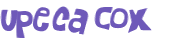 CAPTCHA-haaste