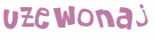 Wyzwanie captcha