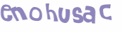 Desafio Captcha