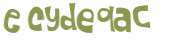 Captcha 챌린지