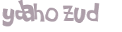 Wyzwanie captcha