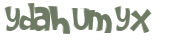CAPTCHA 挑戰