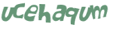 Wyzwanie captcha