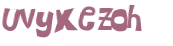 CAPTCHA 挑戰