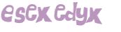 Desafio Captcha