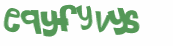 Captcha 챌린지