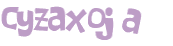 Captcha 챌린지