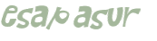 Desafio Captcha