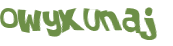 CAPTCHA 挑戰