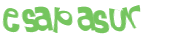 Captcha 챌린지