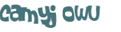 CAPTCHA-haaste