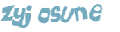 Wyzwanie captcha