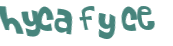 CAPTCHA 挑戰
