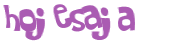Captcha-Test