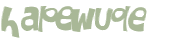 CAPTCHA-haaste