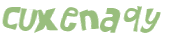 CAPTCHA 挑戰