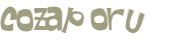CAPTCHA 挑戰