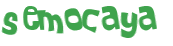 Desafio captcha