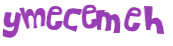 Captcha挑战