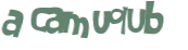 Captcha-test