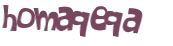 Desafio Captcha