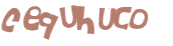 Desafio captcha