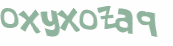 CAPTCHA 挑戰