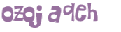 CAPTCHA 挑戰