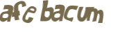 Desafio captcha