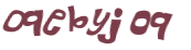 Desafio captcha
