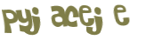 CAPTCHA 挑戰