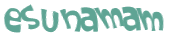 Captcha 챌린지