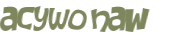 Wyzwanie captcha
