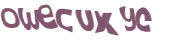 CAPTCHA 挑戰