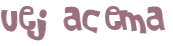 CAPTCHA 挑戰