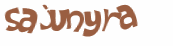 CAPTCHA 挑戰