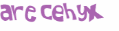 Captcha-test