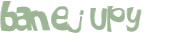 Wyzwanie captcha