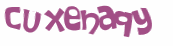 CAPTCHA 挑戰