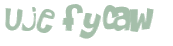 CAPTCHA 挑戰