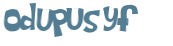 Wyzwanie captcha