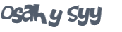 CAPTCHA 挑戰