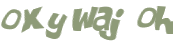 Captcha 챌린지