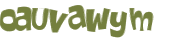CAPTCHA 挑戰
