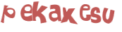 CAPTCHA 挑戰